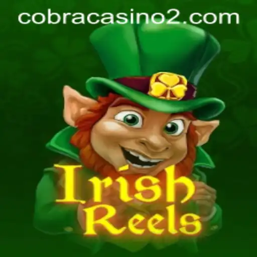 Discover the World of IrishReels